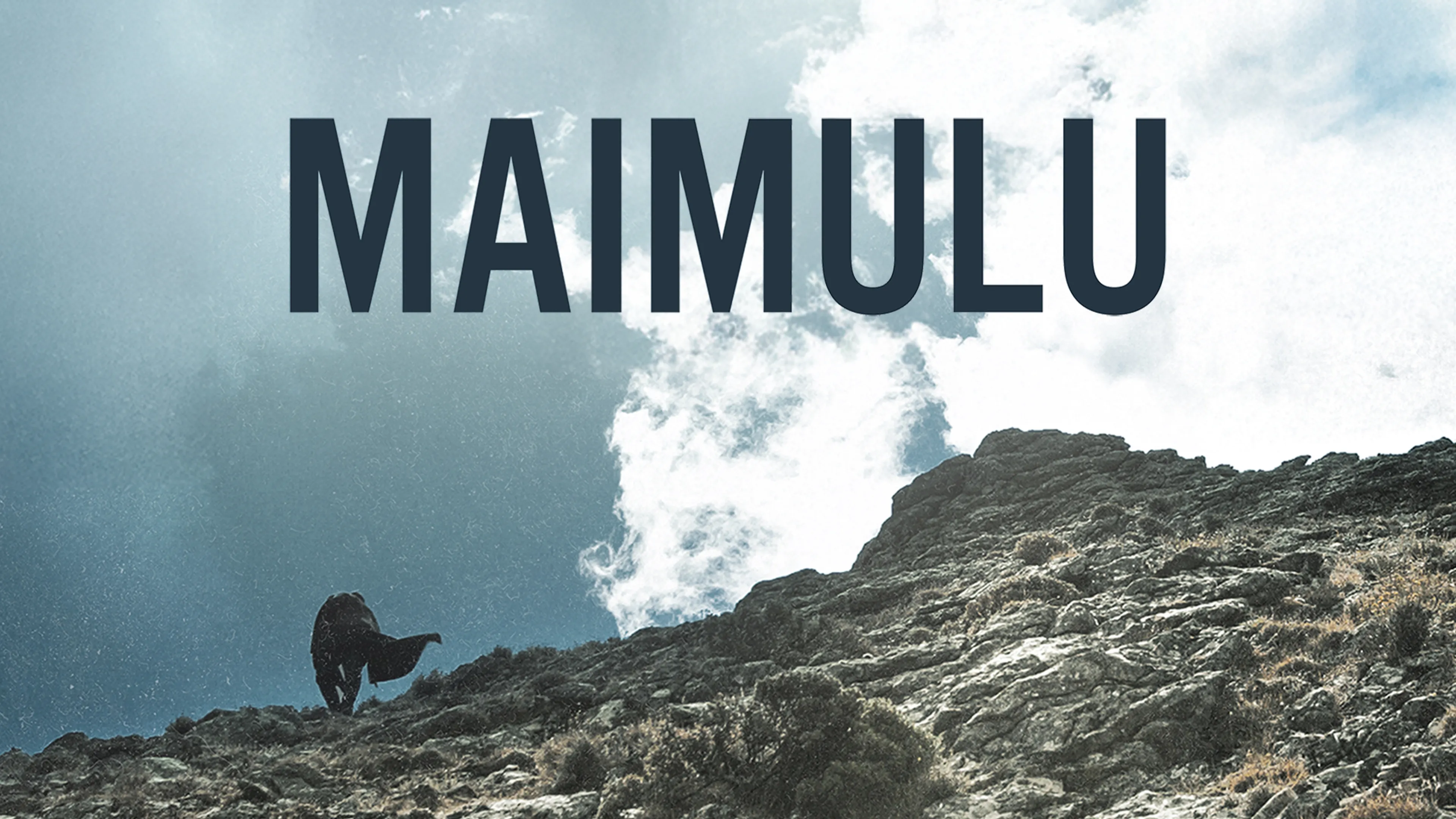 Maimulu poster